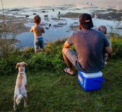 Coleman 16QT Performance Tricolor Koelbox - 15L - Blauw/Grijs -Outdoor Kampeerwinkel 1200x1094 3