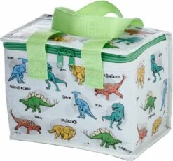 Kleine Lunch/sixpack Koeltas - Dinosaurus Print - 21 X 16 Cm - 4,7 L -Outdoor Kampeerwinkel 1200x1115 4