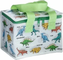 Kleine Lunch/sixpack Koeltas - Dinosaurus Print - 21 X 16 Cm - 4,7 L -Outdoor Kampeerwinkel 1200x1140 2