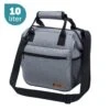 ForDig Lunchtas Grijs - Koeltas Gemaakt Van 600D Polyester Met PEVA-Voering - Ruimte Voor Lunchtrommel / Snacks / Blikjes - Koel Tas Met Mesh Opbergruimtes En Ruimte Voor Bestek - Lunch Tas Cool Bag - Coolerbag - Kleine Cooler -Outdoor Kampeerwinkel 1200x1200 1046