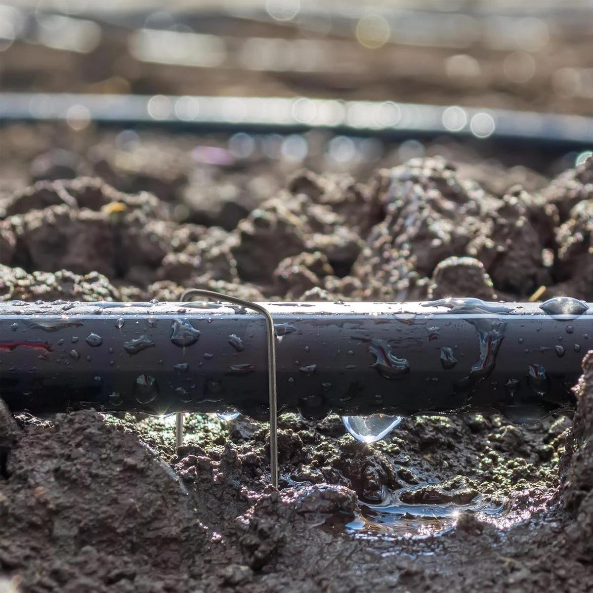 Relaxdays 100x Gronddoekpen - Grondanker - Haring - Gronddoekhaak - Grondhaken - 2mm 4 Relaxdays 100x Gronddoekpen - Grondanker - Haring - Gronddoekhaak - Grondhaken - 2mm - Afbeelding 2