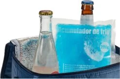 Arte R Koelelementen/icepacks - Herbruikbaar - 15 X 13 X 2 Cm -Outdoor Kampeerwinkel 1200x789 1