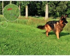 PROPLUS Pro Plus Aanlegspiraal - Hondenpen Met Handvat En Ring - Lengte 39 Cm -Outdoor Kampeerwinkel 1200x959 1