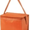 Merkloos Klein Mini Koeltasje - Sixpack Blikjes - Compacte Koelbox/koeltassen En Elementen - Oranje -Outdoor Kampeerwinkel 873x1200 1