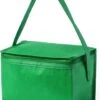 Merkloos Klein Mini Koeltasje - Sixpack Blikjes - Compacte Koelbox/koeltassen En Elementen - Groen -Outdoor Kampeerwinkel 878x1200 1